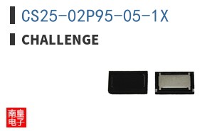 CS25-02P95-05-1X ͼƬ
